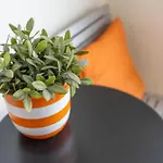 Apartamento Lecomte - Coastal Escape 200